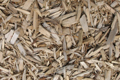 biomass boilers Lubinvullin