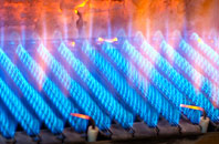 Lubinvullin gas fired boilers
